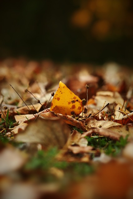 这种大规模 这种大规模