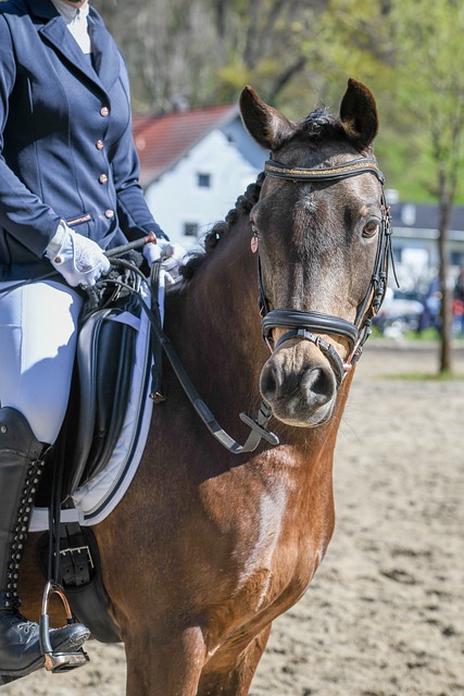 误并不罕见 误并不罕见