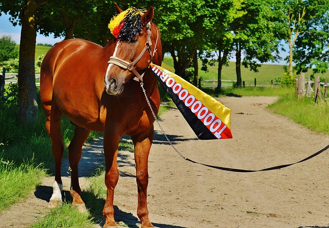 除了伤病问 除了伤病问