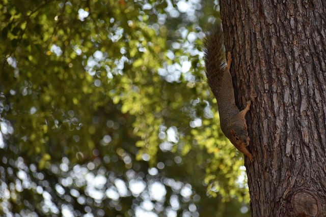 心模式催生 心模式催生