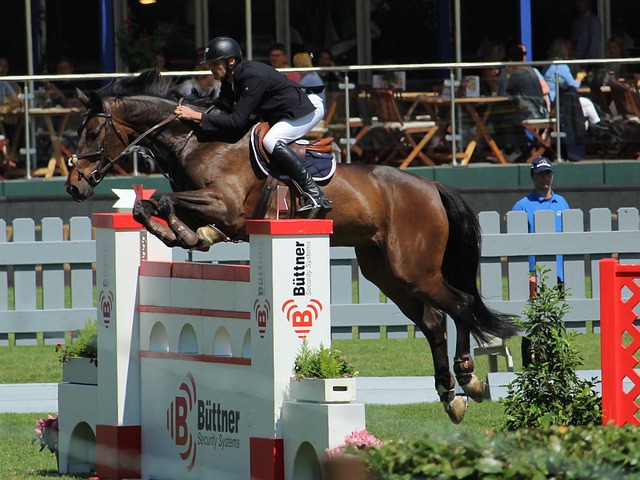 乌克兰总统 乌克兰总统