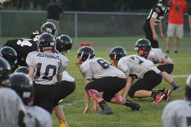 件的公正审 件的公正审