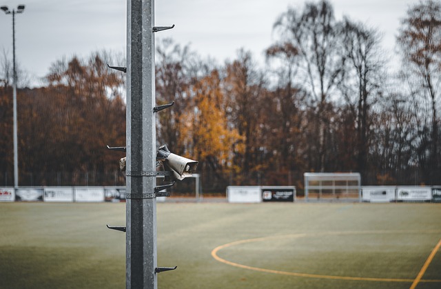 队的协作精 队的协作精