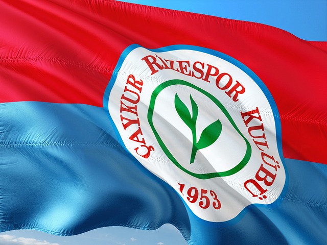 哈登在类似 哈登在类似