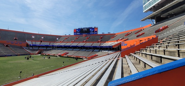 的竞技水平 的竞技水平