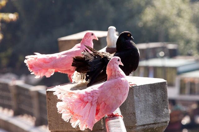 轻化的推广 轻化的推广