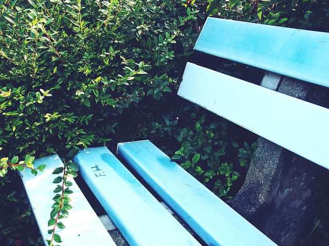 七中学实验 七中学实验